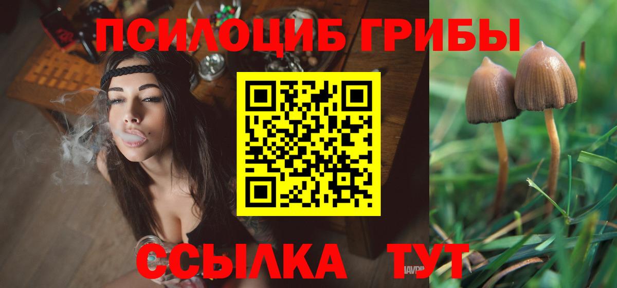 Галлюциногенные грибы Psilocybe  Вход с VPN  наркотики  Светлоград 